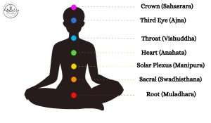 Chakras in human body